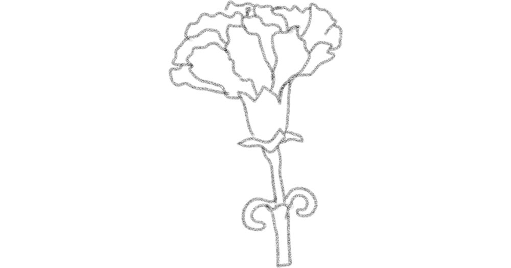 手描きイラスト オリジナル サイズ コピー版 普通紙 花ことば カーネーション 最新最全の 花ことば カーネーション 手描きイラスト オリジナル サイズ コピー版 普通紙 花ことば カーネーション 最新最全の 花ことば カーネーション